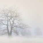 Kijk Uit! Code Geel voor hele Dichte Mist