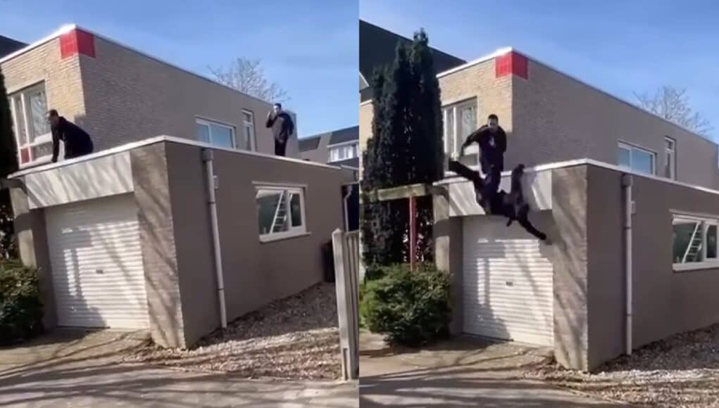 dakdekker