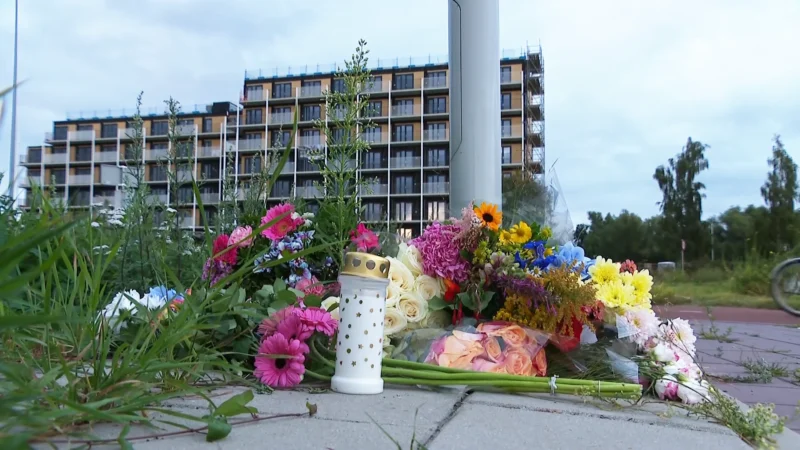 Verdachte van moord op Lisa eindelijk te zien: Nederland schrikt van rechtbanktekening
