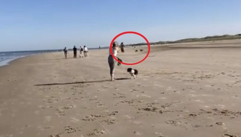 Woede op social media na aanrijding puppy door mountainbiker